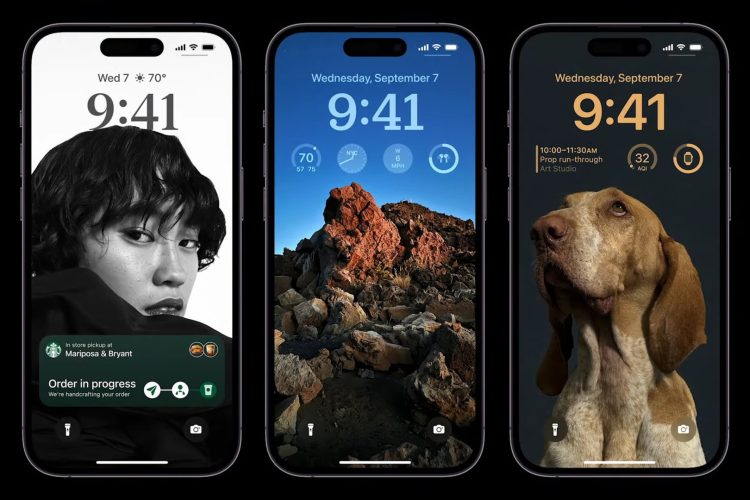 Methods Create Higher Iphone 13 With The Assistance Of Your Canine